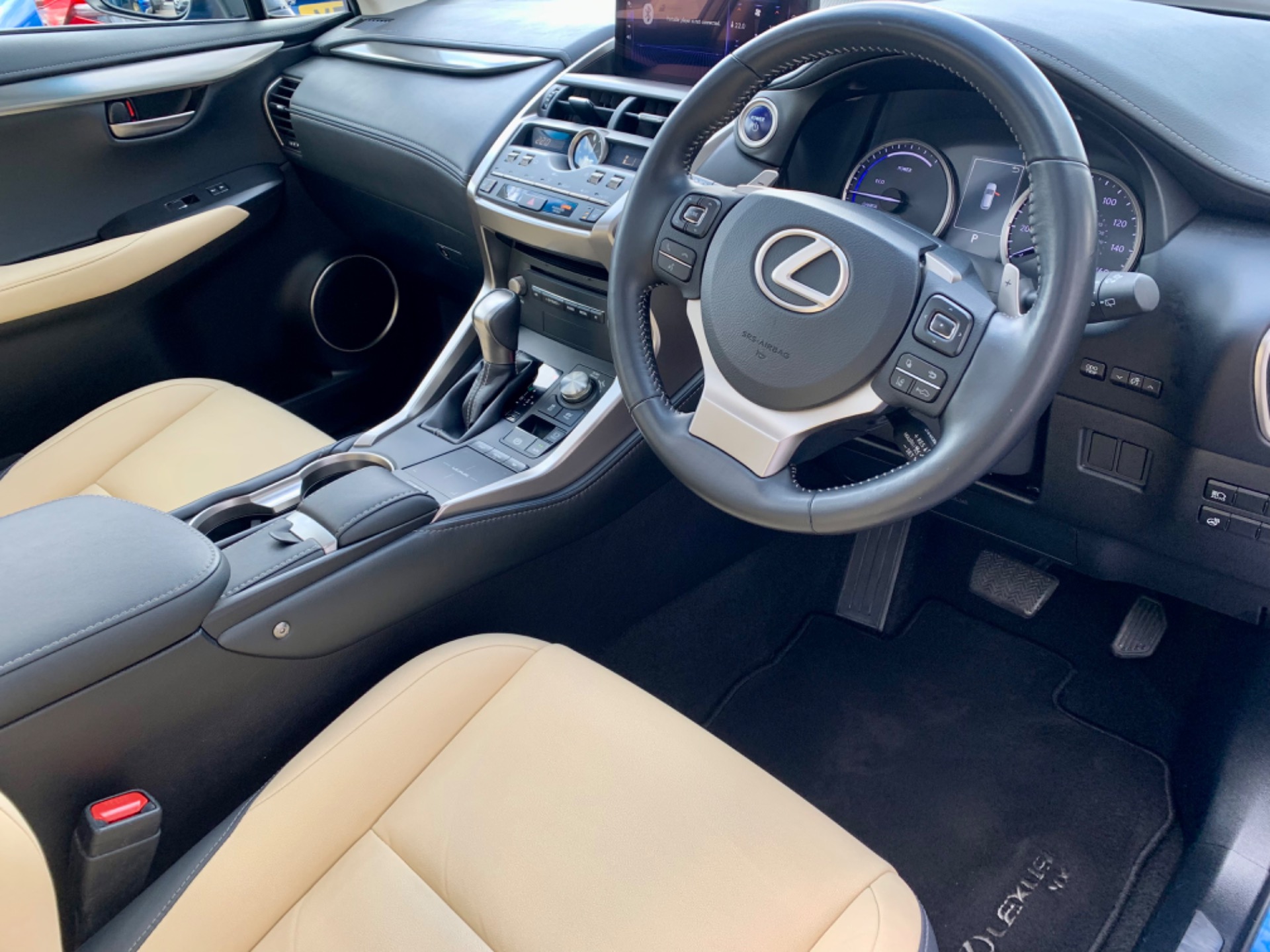 LEXUS NX 300H PREMIUM - 5876 - 13