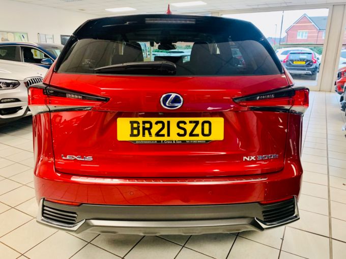 LEXUS NX 300H - 5908 - 10