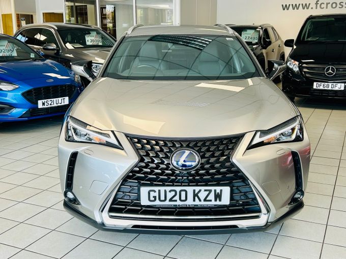 LEXUS UX 250H - 5672 - 13
