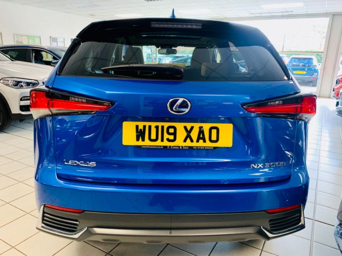 LEXUS NX 300H PREMIUM - 5876 - 9