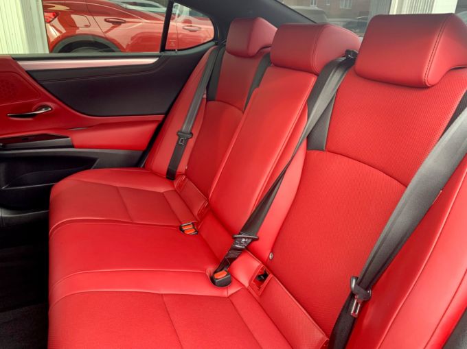 LEXUS ES 300H F SPORT - 5881 - 30