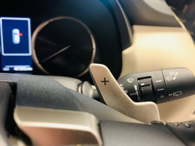 LEXUS NX 300H - 5908 - 25