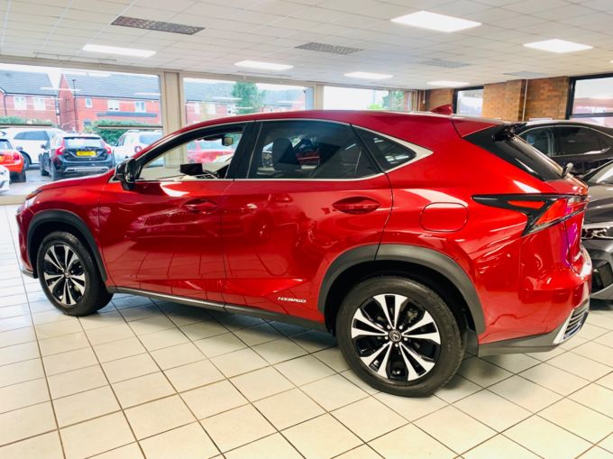 LEXUS NX 300H - 5908 - 13