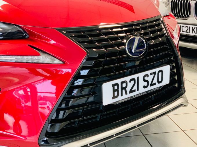 LEXUS NX 300H - 5908 - 6