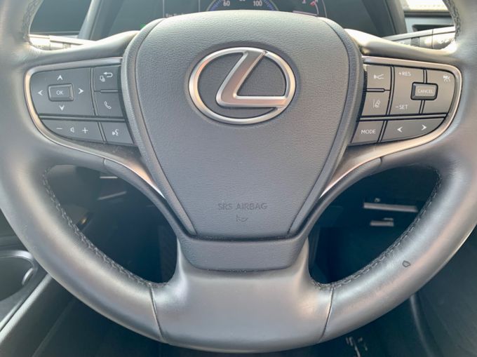 LEXUS UX 250H F SPORT - 5771 - 14