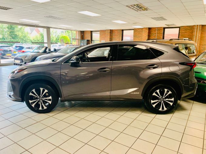 LEXUS NX 300H - 5728 - 10